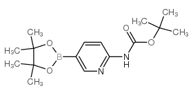 cas no 910462-31-6 is Boc-6-Aminopyridine-3-boronic acid pinacol ester