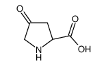 cas no 911284-93-0 is 4-Oxo-D-proline