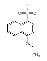 cas no 91222-55-8 is 4-Ethoxynaphthalene-1-sulfonyl chloride
