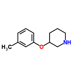 cas no 912761-71-8 is 3-(3-Methylphenoxy)piperidine