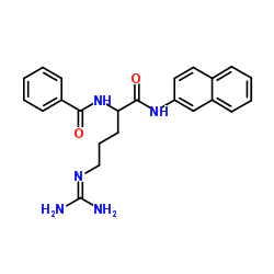 cas no 913-04-2 is bz-dl-arg-betana hcl