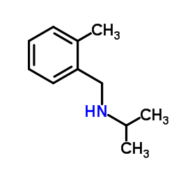 cas no 91338-98-6 is N-(2-Methylbenzyl)-2-propanamine