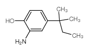 cas no 91339-74-1 is Phenol,2-amino-4-(1,1-dimethylpropyl)-
