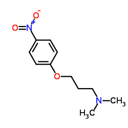 cas no 91430-80-7 is N,N-Dimethyl-3-(4-nitrophenoxy)-1-propanamine