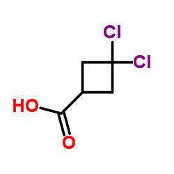 cas no 915185-89-6 is 3,3-Dichlorocyclobutanecarboxylic acid