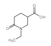 cas no 915919-82-3 is 1-ethyl-6-oxopiperidine-3-carboxylic acid