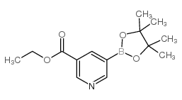 cas no 916326-10-8 is 5-(Ethoxycarbonyl)pyridine-3-boronic acid pinacol ester