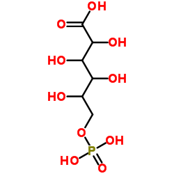 cas no 921-62-0 is 6-Phosphogluconic acid