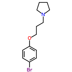 cas no 92104-90-0 is 1-[3-(4-Bromophenoxy)propyl]pyrrolidine