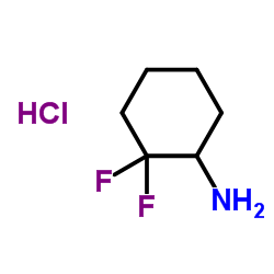 cas no 921602-83-7 is 2,2-Difluorocyclohexanamine hydrochloride (1:1)