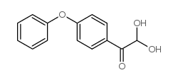 cas no 92254-55-2 is 4-PHENOXYPHENYLGLYOXAL HYDRATE