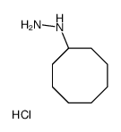 cas no 92379-99-2 is 1-cyclooctylhydrazine hydrochloride