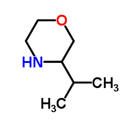 cas no 927802-40-2 is 3-Isopropylmorpholine