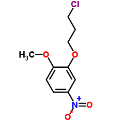 cas no 92878-95-0 is 2-(3-Chloropropoxy)-1-methoxy-4-nitrobenzene