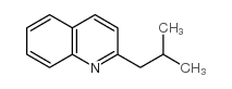 cas no 93-19-6 is 2-isobutylquinoline