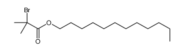cas no 934001-46-4 is dodecyl 2-bromo-2-methylpropanoate