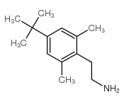 cas no 93720-89-9 is 2-(4-tert-butyl-2,6-dimethylphenyl)ethylazanium