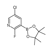 cas no 937595-72-7 is 5-Chloro-2-fluoropyridine-3-boronic acid pinacol ester