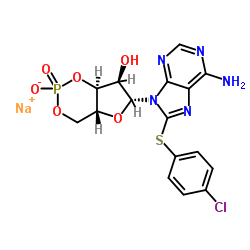 cas no 93882-12-3 is 8-CPT-Cyclic AMP sodium