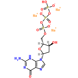 cas no 93919-41-6 is Deoxyguanosine triphosphate trisodium salt