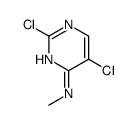 cas no 940927-35-5 is 2,5-dichloro-N-methylpyrimidin-4-amine