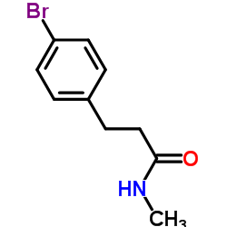 cas no 942598-36-9 is 3-(4-Bromophenyl)-N-methylpropanamide