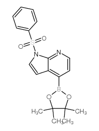 cas no 942919-24-6 is 1-(benzenesulfonyl)-4-(4,4,5,5-tetramethyl-1,3,2-dioxaborolan-2-yl)pyrrolo[2,3-b]pyridine