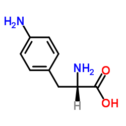 cas no 943-80-6 is 4-Amino-L-phenylalanine