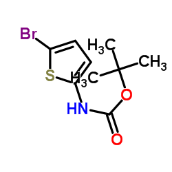 cas no 943321-89-9 is 2-Methyl-2-propanyl (5-bromo-2-thienyl)carbamate