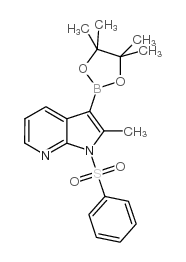 cas no 943324-08-1 is 1-(benzenesulfonyl)-2-methyl-3-(tetramethyl-1,3,2-dioxaborolan-2-yl)-1H-pyrrolo[2,3-b]pyridine