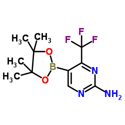 cas no 944401-58-5 is 2-amino-4-trifluoropyrimidine-5-boronic acid pinacol ester