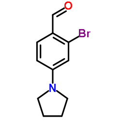cas no 946705-58-4 is 2-Bromo-4-(1-pyrrolidinyl)benzaldehyde