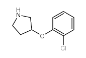 cas no 946715-25-9 is 3-(2-chlorophenoxy)pyrrolidine