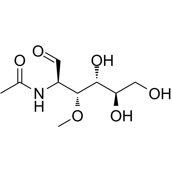 cas no 94825-74-8 is 3-O-Methyl-N-acetyl-D-glucosamine