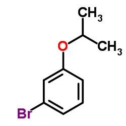 cas no 95068-01-2 is 1-Bromo-3-isopropoxybenzene