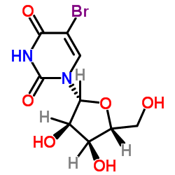 cas no 957-75-5 is 5-Bromouridine