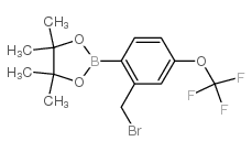 cas no 957066-13-6 is 2-[2-(bromomethyl)-4-(trifluoromethoxy)phenyl]-4,4,5,5-tetramethyl-1,3,2-dioxaborolane