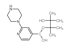 cas no 957198-31-1 is 1-[4-(4,4,5,5-tetramethyl-1,3,2-dioxaborolan-2-yl)pyridin-2-yl]piperazine
