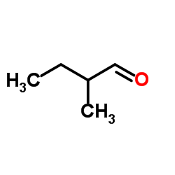 cas no 96-17-3 is 2-Methylbutanal