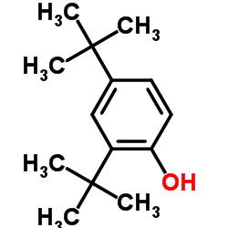 cas no 96-76-4 is 2,4-Di-t-butylphenol
