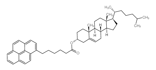 cas no 96886-70-3 is 3beta-hydroxy-5-cholestene 3-[6-(1-pyrene)hexanoate]