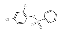 cas no 97-16-5 is Phenol, 2,4-dichloro-,1-benzenesulfonate