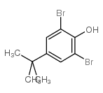 cas no 98-22-6 is 2,6-Dibromo-4-tert-butylphenol