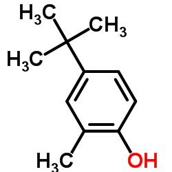 cas no 98-27-1 is 4-TERT-BUTYL-2-METHYLPHENOL