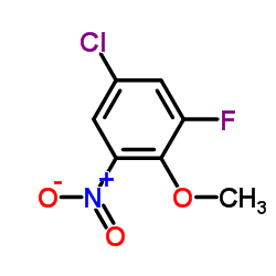 cas no 98404-03-6 is 5-Chloro-1-fluoro-2-methoxy-3-nitrobenzene