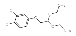 cas no 98919-15-4 is 1,2-dichloro-4-(2,2-diethoxyethoxy)benzene