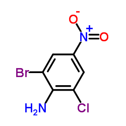 cas no 99-29-6 is 2-Bromo-6-chloro-4-nitroaniline