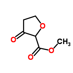 cas no 99017-83-1 is 2-Furan carboxylicacid,tetrahydro-3-oxo-,methylester(9CI)