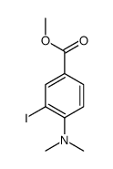 cas no 99067-73-9 is methyl 4-(dimethylamino)-3-iodobenzoate