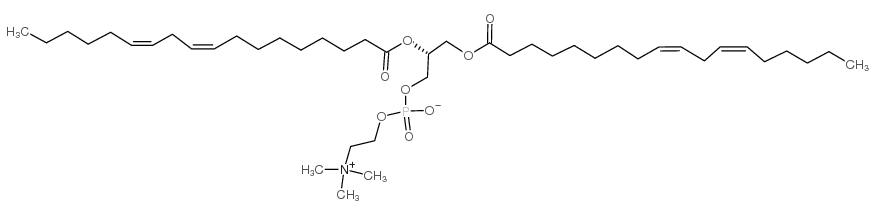 cas no 998-06-1 is 1,2-dilinoleoyl-sn-glycero-3-phosphocholine